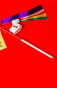 干支張子破魔矢