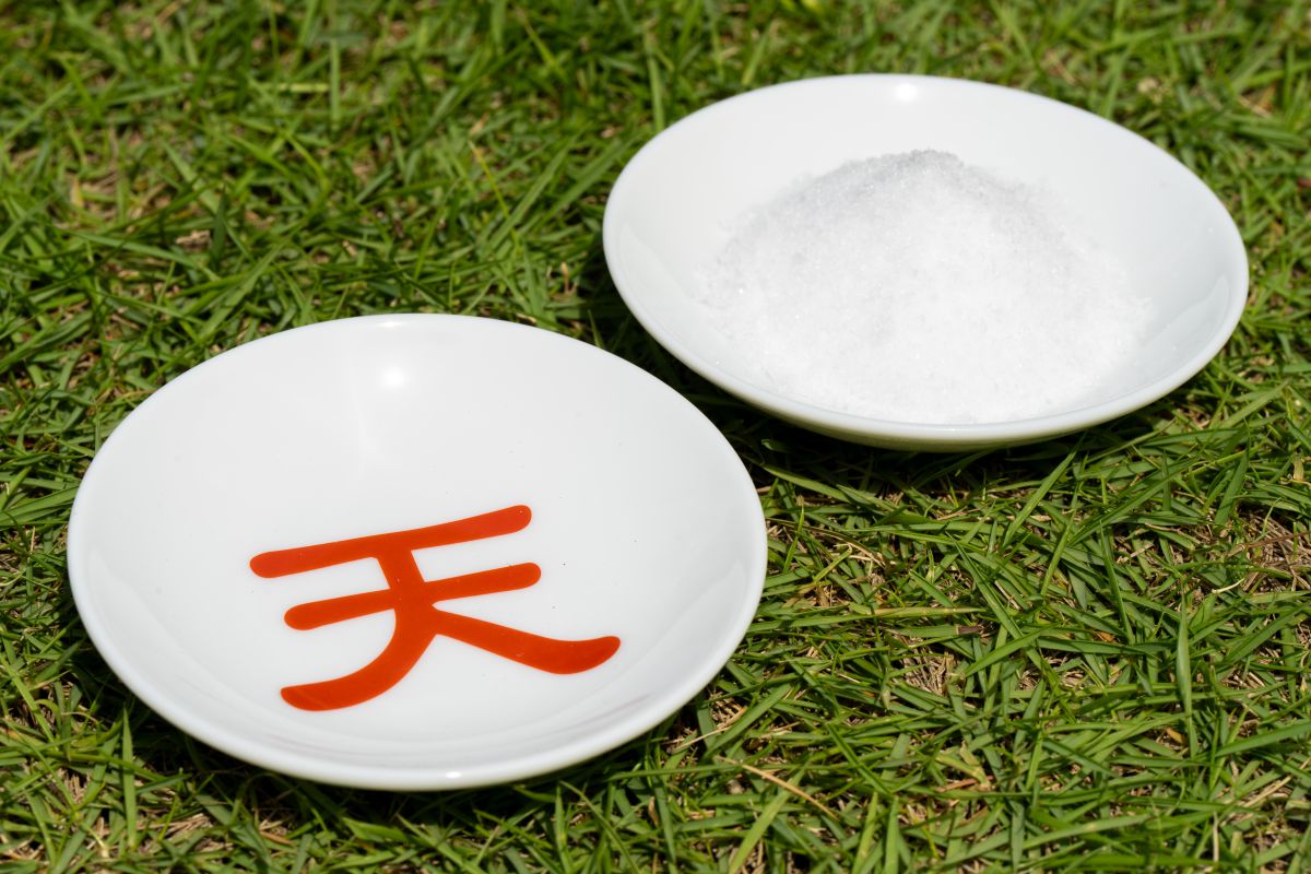 天の盃 - 画像 (3)